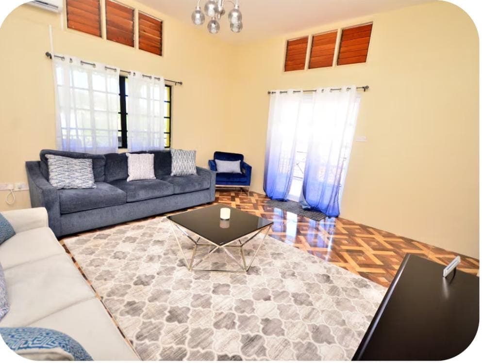 Shared Space - Living room with natural light streaming through curtains